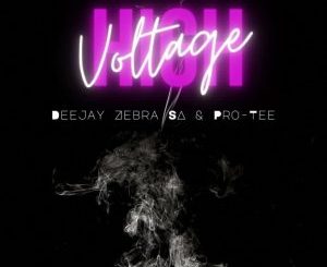 EP: Deejay Zebra SA & Pro-Tee – High Voltage