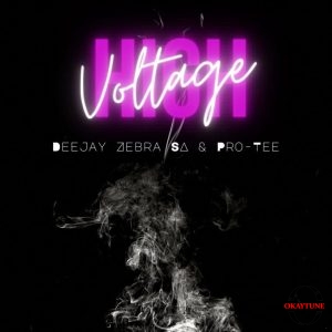 EP: Deejay Zebra SA & Pro-Tee – High Voltage