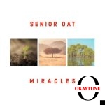 Senior Oat – Find You (Radio Edit) ft Alice Orion