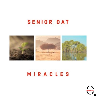 Senior Oat – Find You (Radio Edit) ft Alice Orion