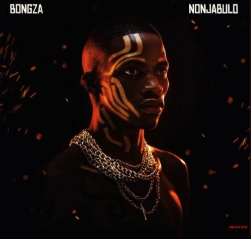 Bongza – Amaphutha ft. Mashudu, MDU a.k.a TRP & Springle