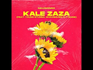 Daliwonga – Kale Zaza ft Young Stunna, ShaunMusiQ & Ftears