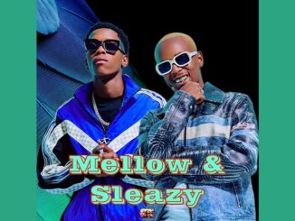 Mellow – Bramfana ft Sleazy, Leemckrazy & ELTEE